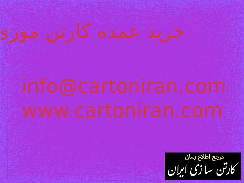 خرید عمده کارتن موزی